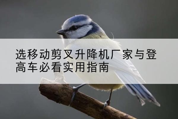 弋江电动升降机厂家-选移动剪叉升降机厂家与登高车必看实用指南