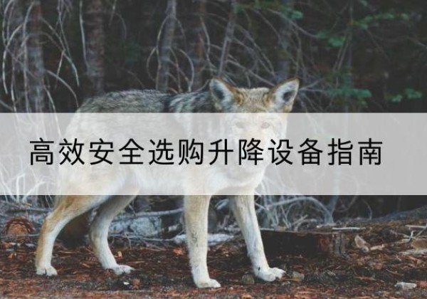 弋江升降货梯厂家推荐-*安全选购升降设备指南