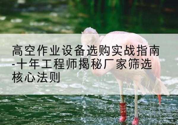 弋江剪叉式升降机厂家-高空作业设备选购实战指南-十年工程师揭秘厂家筛选核心法则