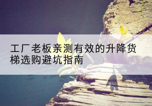 弋江升降货梯怎么选-工厂老板亲测有效的升降货梯选购避坑指南